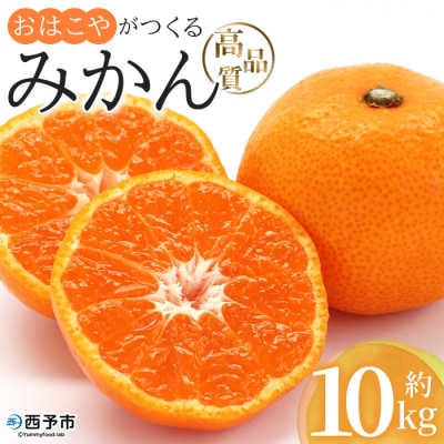 【先行受付】おはこやがつくる　高品質みかん　10kg