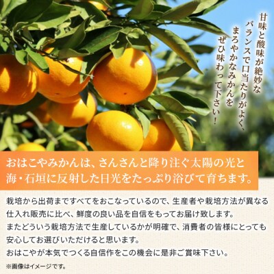 【先行受付】おはこやがつくる　高品質みかん　10kg