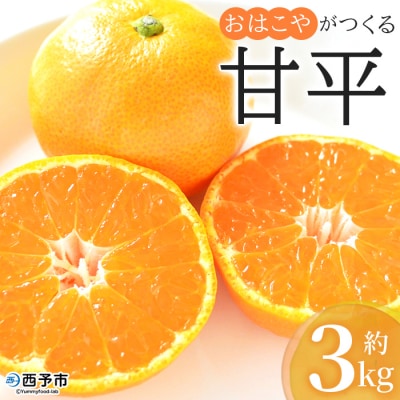 【先行受付】おはこやがつくる　甘平　3kg