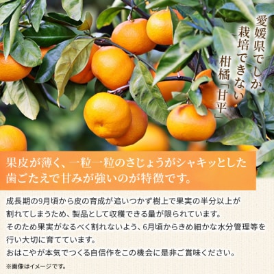 【先行受付】おはこやがつくる　甘平　3kg