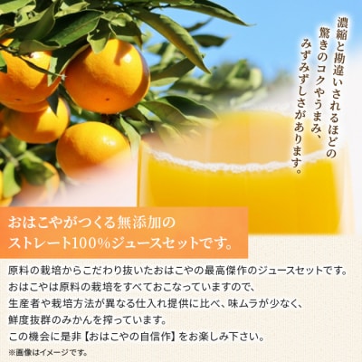 おはこやのみかんジュース　720ml×6本セット