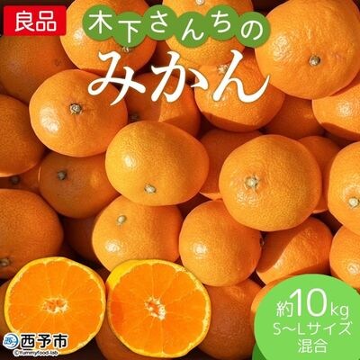 <木下さんちのみかん 良品 約10kg(5kg×2箱・S～Lサイズ混合)> 柑橘類 温州みかん