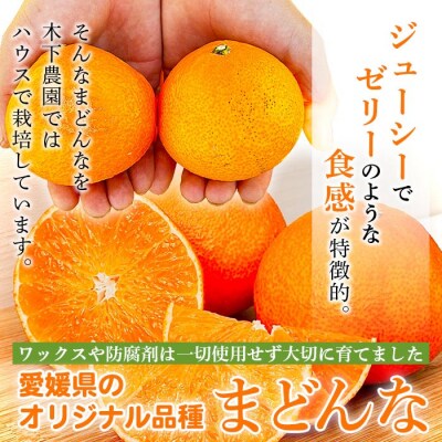 <木下さんちのまどんな 約2.5kg 家庭用> 柑橘類 みかん ミカン 果物 くだもの フルーツ