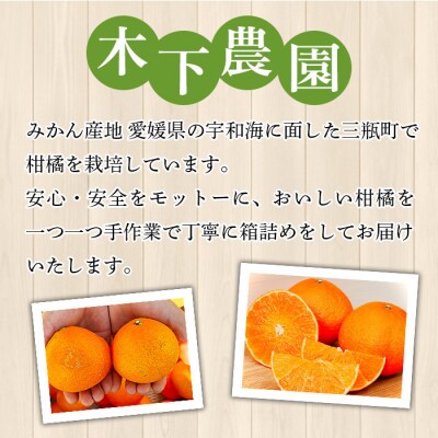 <木下さんちのまどんな 約2.5kg 家庭用> 柑橘類 みかん ミカン 果物 くだもの フルーツ