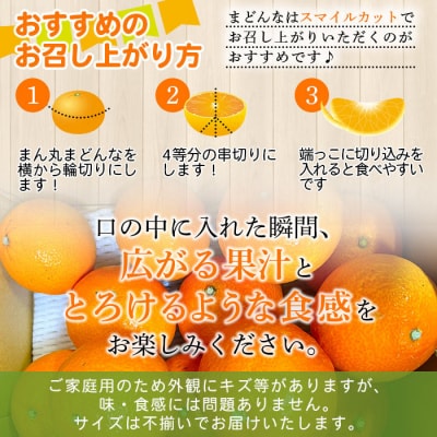 <木下さんちのまどんな 約5kg 家庭用> 柑橘類 みかん ミカン 果物 くだもの フルーツ 不揃い