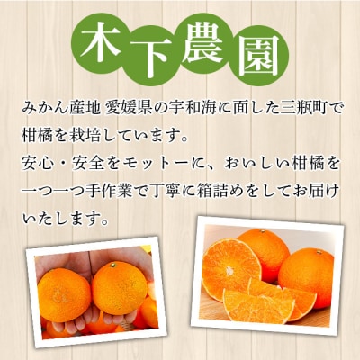 <木下さんちのまどんな 約5kg 家庭用> 柑橘類 みかん ミカン 果物 くだもの フルーツ 不揃い