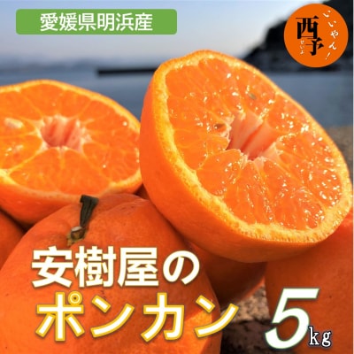 安樹屋 愛媛県明浜産 ポンカン 5kg(家庭用)