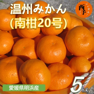 安樹屋　愛媛県明浜産　温州みかん(南柑20号) 5kg(家庭用)