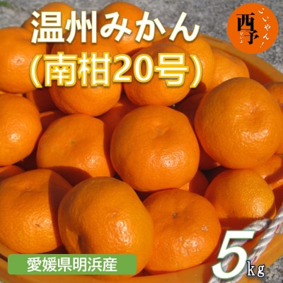 安樹屋 愛媛県明浜産 温州みかん(南柑20号) 5kg(家庭用)