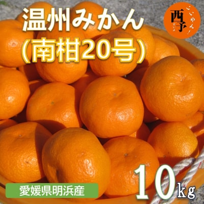 安樹屋 愛媛県明浜産 温州みかん(南柑20号) 10kg(家庭用)