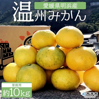 安樹屋　愛媛県明浜産　温州みかん(早生) 10kg(家庭用)