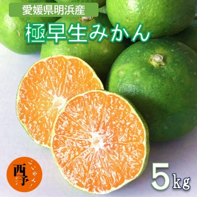 安樹屋　愛媛県明浜産　極早生みかん　5kg(家庭用)