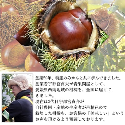 愛媛県西予市産　栗　2kg