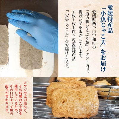 小魚じゃこ天 20枚セット