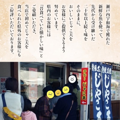 小魚じゃこ天 20枚セット