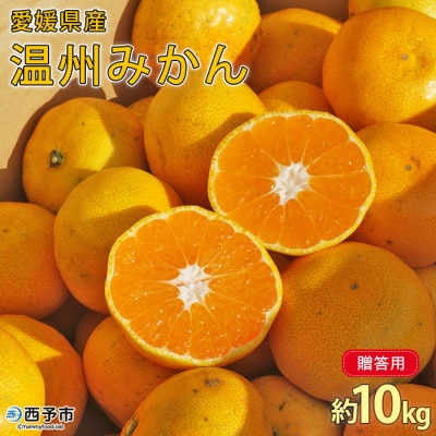 愛媛県西予市産　温州みかん　贈答用10kg