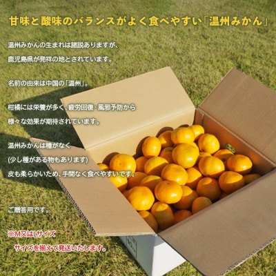 愛媛県西予市産　温州みかん　贈答用10kg