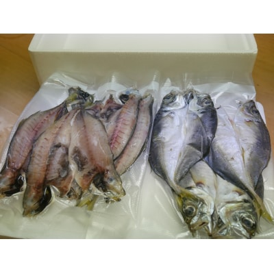 魚屋こだわりの活アジ開き