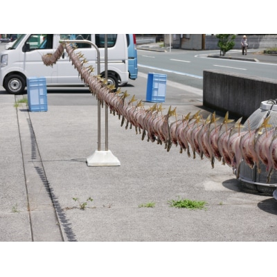 魚屋こだわりの活アジ開き