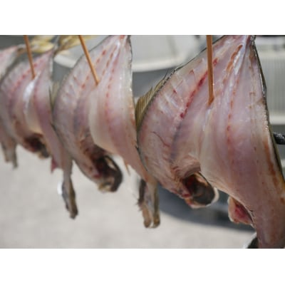 魚屋こだわりの活アジ開き