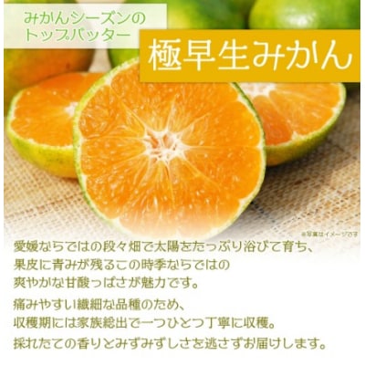 極早生みかん 4kg(家庭用) 果物 フルーツ みかん おいしい 愛媛 えひめ