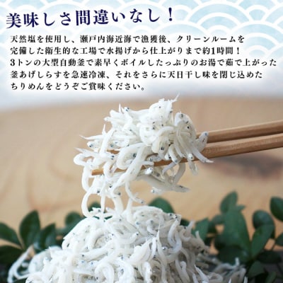 <老舗網元　濵田屋セレクト釜あげしらす・ちりめんセット(大)>チリメン　シラス　明浜　減塩