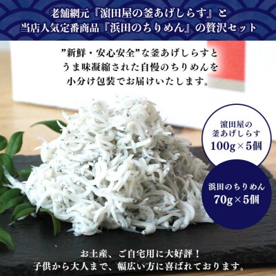 <老舗網元　濵田屋セレクト釜あげしらす・ちりめんセット(小)>　食べ比べ　詰合せ　シラス　チリメン