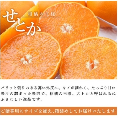 せとか  贈答用　果物 フルーツ くだもの みかん ミカン 蜜柑 セトカ　宇都宮物産