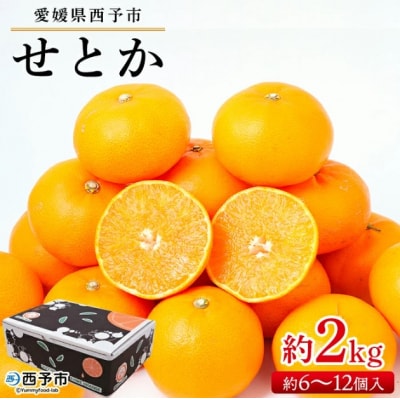 せとか  贈答用　果物 フルーツ くだもの みかん ミカン 蜜柑 セトカ　宇都宮物産