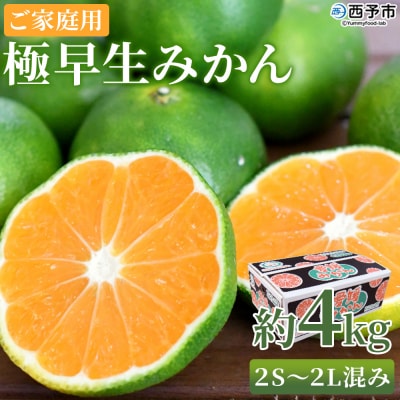 極早生みかん　ご家庭用　4kgフルーツ　ミカン　蜜柑　オレンジ　柑橘