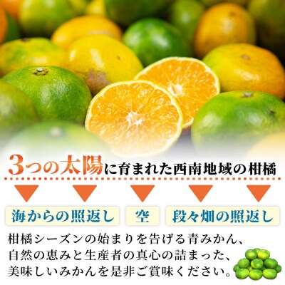 極早生みかん　ご家庭用　4kgフルーツ　ミカン　蜜柑　オレンジ　柑橘