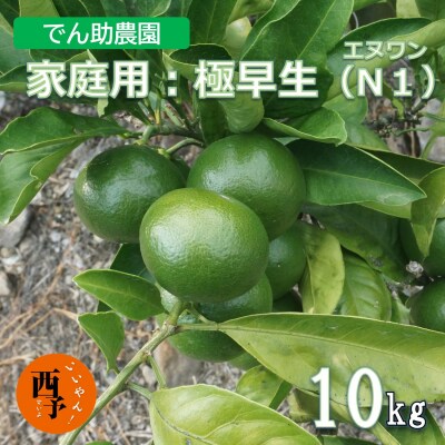 極早生の中でも早い! でん助農園の家庭用極早生温州みかん　エヌワン10キロ