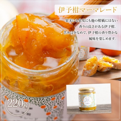 <無茶々園のマーマレード4種セット>　柑橘　ジャム　加工品　愛媛　甘夏　伊予柑　ひょう柑