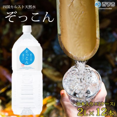 <四国カルスト天然水ぞっこん 2L(6本入り)×2ケース 計12本>　みず　備蓄　防災　ウォーター