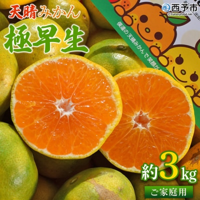 愛媛県明浜産　天晴みかん(極早生みかん)　3kg