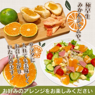 愛媛県明浜産　天晴みかん(極早生みかん)　3kg