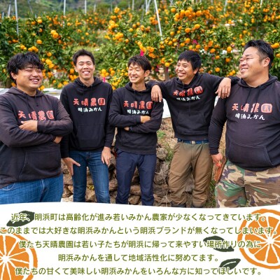 愛媛県明浜産　天晴みかん(極早生みかん)　3kg