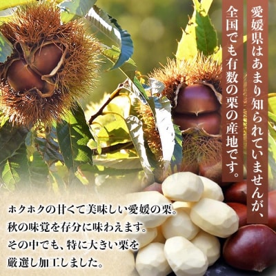厳選　大粒むき栗　200g×3袋