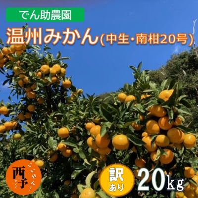 でん助農園の温州みかん(中生・南柑20号)　訳あり　20kg