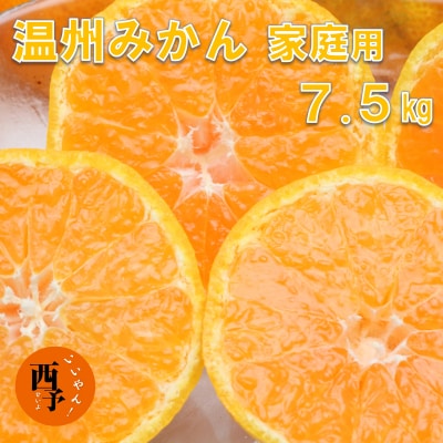愛媛県西予市産　温州みかん　ご家庭用　7.5kg
