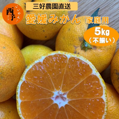 三好農園直送　西予市産　愛媛みかん　5kg　家庭用(不揃い)