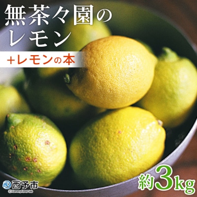 【先行予約】<無茶々園のレモン 約3kg+レモンの本>　柑橘　酸味　果物　愛媛