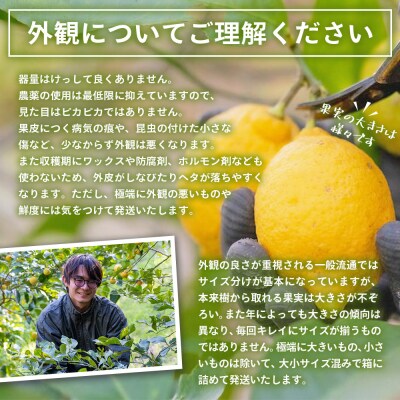 【先行予約】<無茶々園のレモン 約3kg+レモンの本>　柑橘　酸味　果物　愛媛