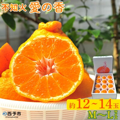 デコポン「愛の香」(M寸～L寸)