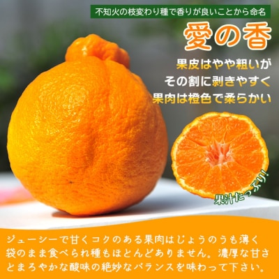 デコポン「愛の香」(M寸～L寸)