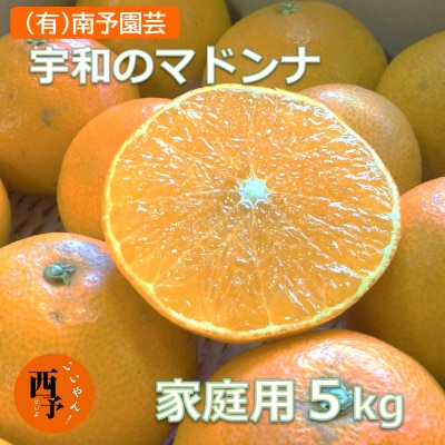 宇和のマドンナ(愛媛果試28号)5kg　ご家庭用　