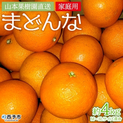 紅まどんなと同品種!山本果樹園直送　愛媛県西予市三瓶産　まどんな　4kg(家庭用)