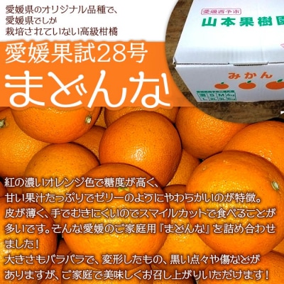 紅まどんなと同品種!山本果樹園直送　愛媛県西予市三瓶産　まどんな　4kg(家庭用)