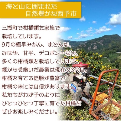 紅まどんなと同品種!山本果樹園直送　愛媛県西予市三瓶産　まどんな　4kg(家庭用)