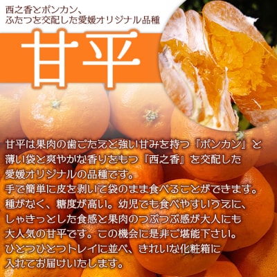 山本果樹園直送　甘平　約3kg(贈答用)